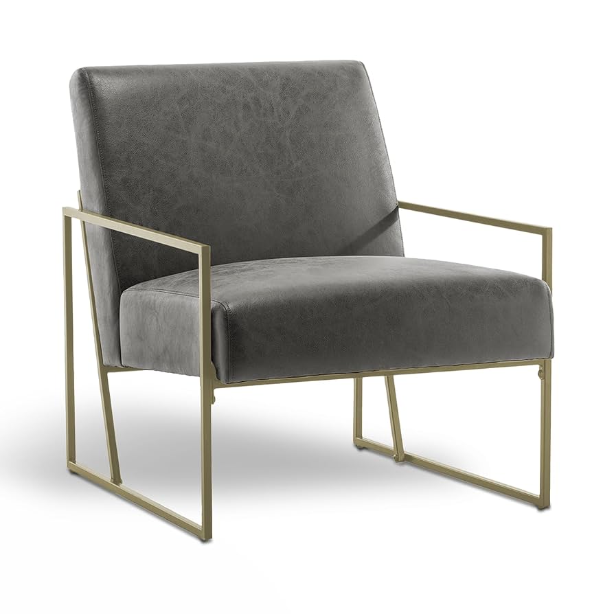 Amazon.com: eLuxurySupply Accent Chair - Modern Industrial